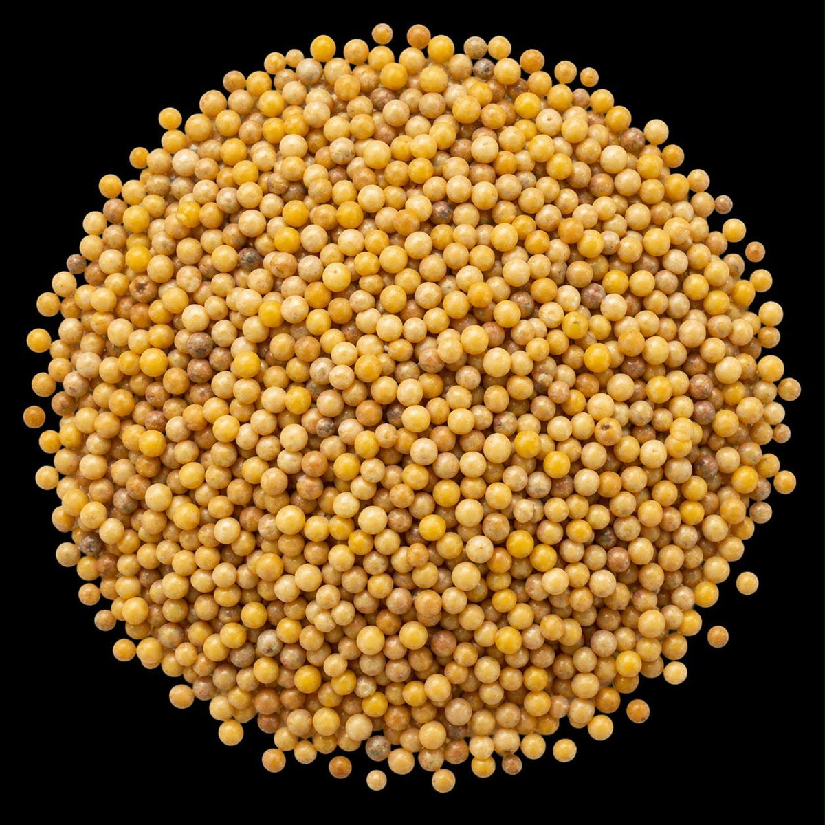 Millet Seeds (Ilan)