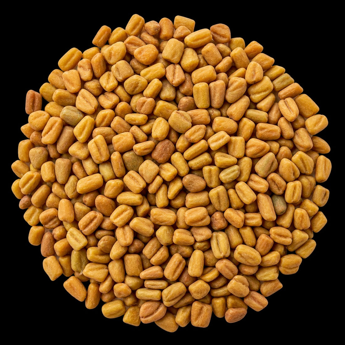 Fenugreek Seeds