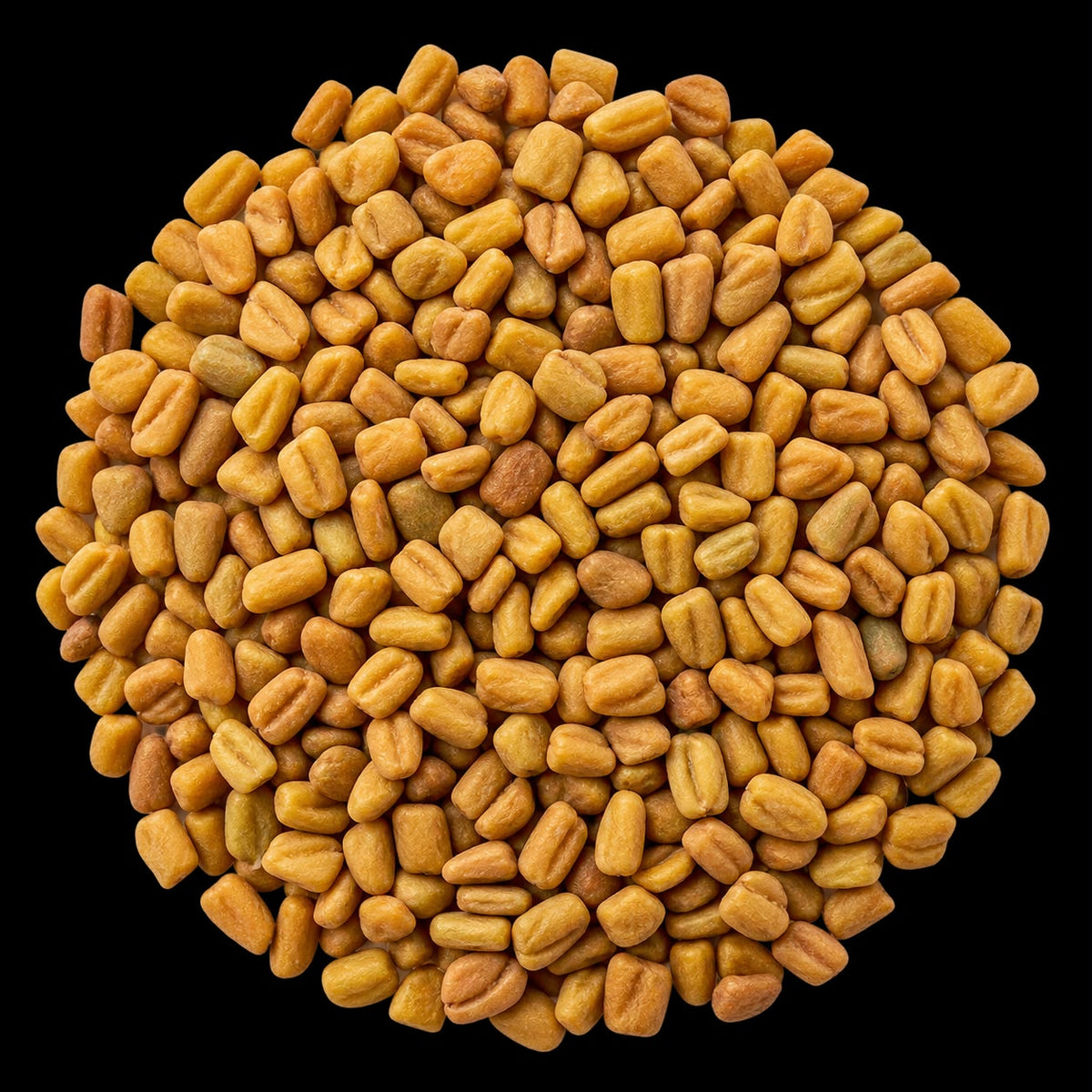 Fenugreek Seeds